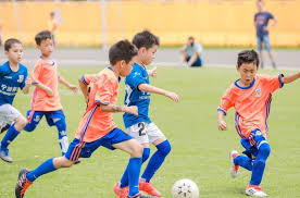 2026国际足联世界杯 自动化机械助阵，草坪修剪事半功倍！